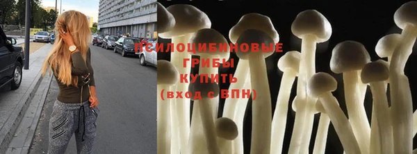 прущая мука Иннополис