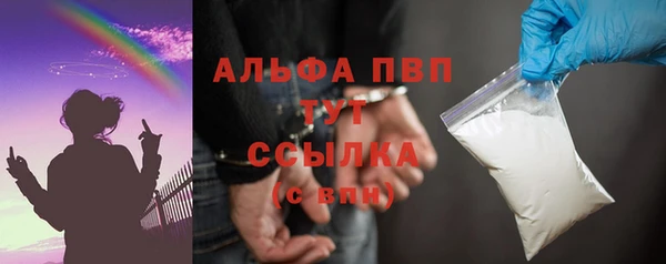 прущие грибы Каменка