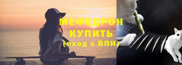 прущие грибы Каменка