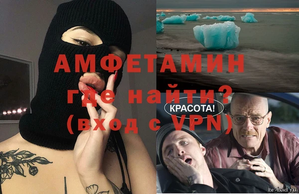 прущие грибы Каменка