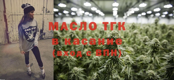 прущие грибы Каменка