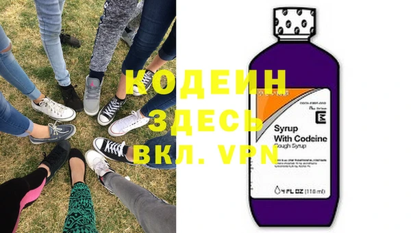 прущие грибы Каменка