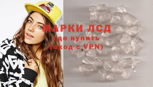 прущие грибы Каменка