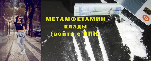 прущие грибы Каменка