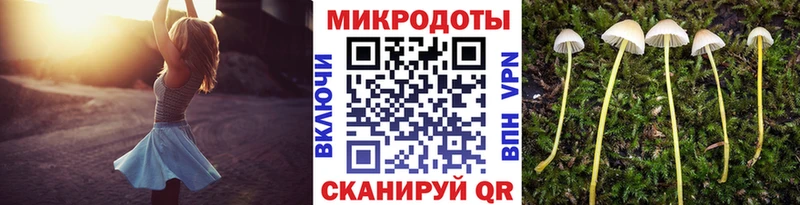 Купить закладки Гороховец Псилоцибиновые грибы ЛСД